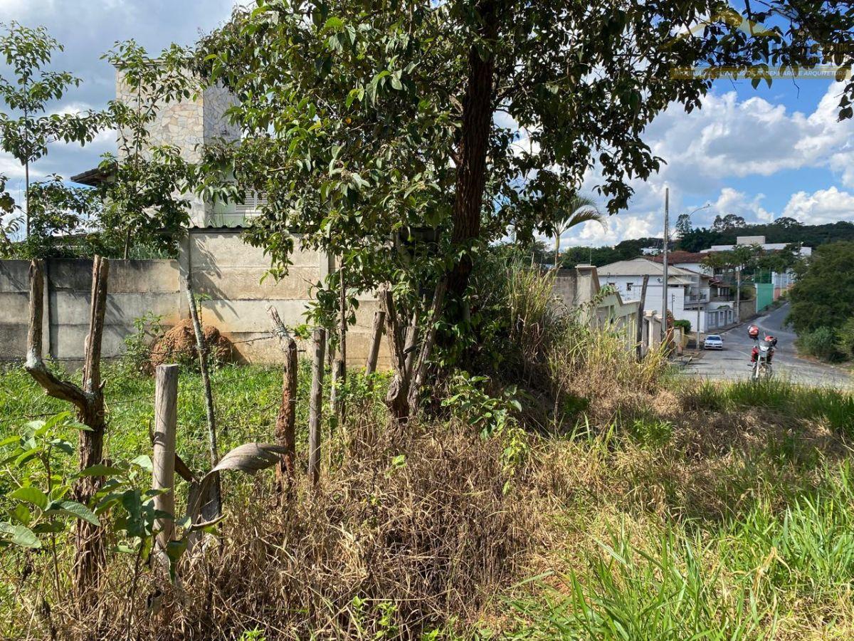 WhatsApp Image 2026-04-13 at 17.10.05 (14).jpeg